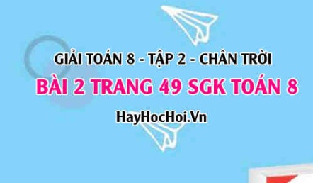 Bài 2 trang 49 Toán 8 Tập 2 Chân trời sáng tạo